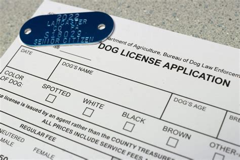 Pet Licensing .